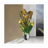 Das Licht Der Pflanze (Print Only) thumbnail