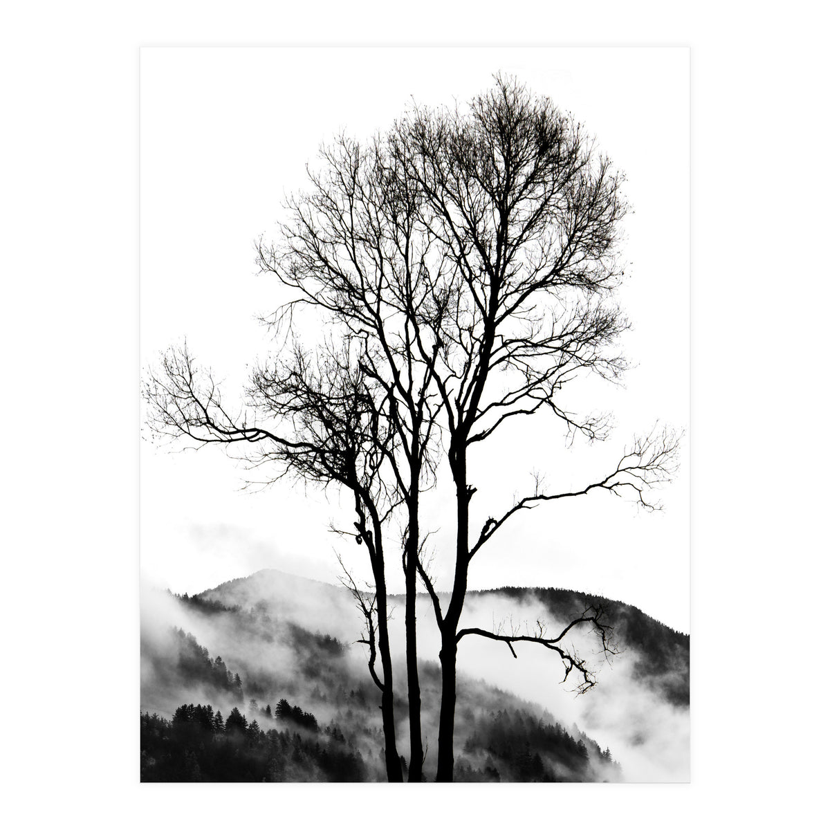 Rocky Mountains (Print Only)