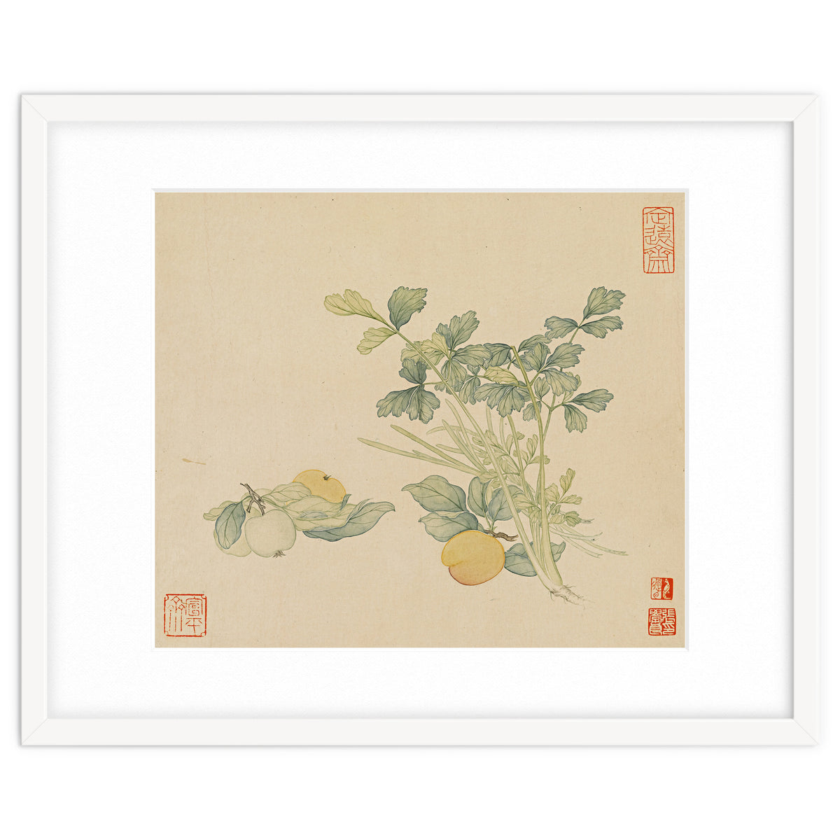 Wang Chengyu~flowers And Vegetables, Vegetables, Fruits, Plums, Apricots, Celery