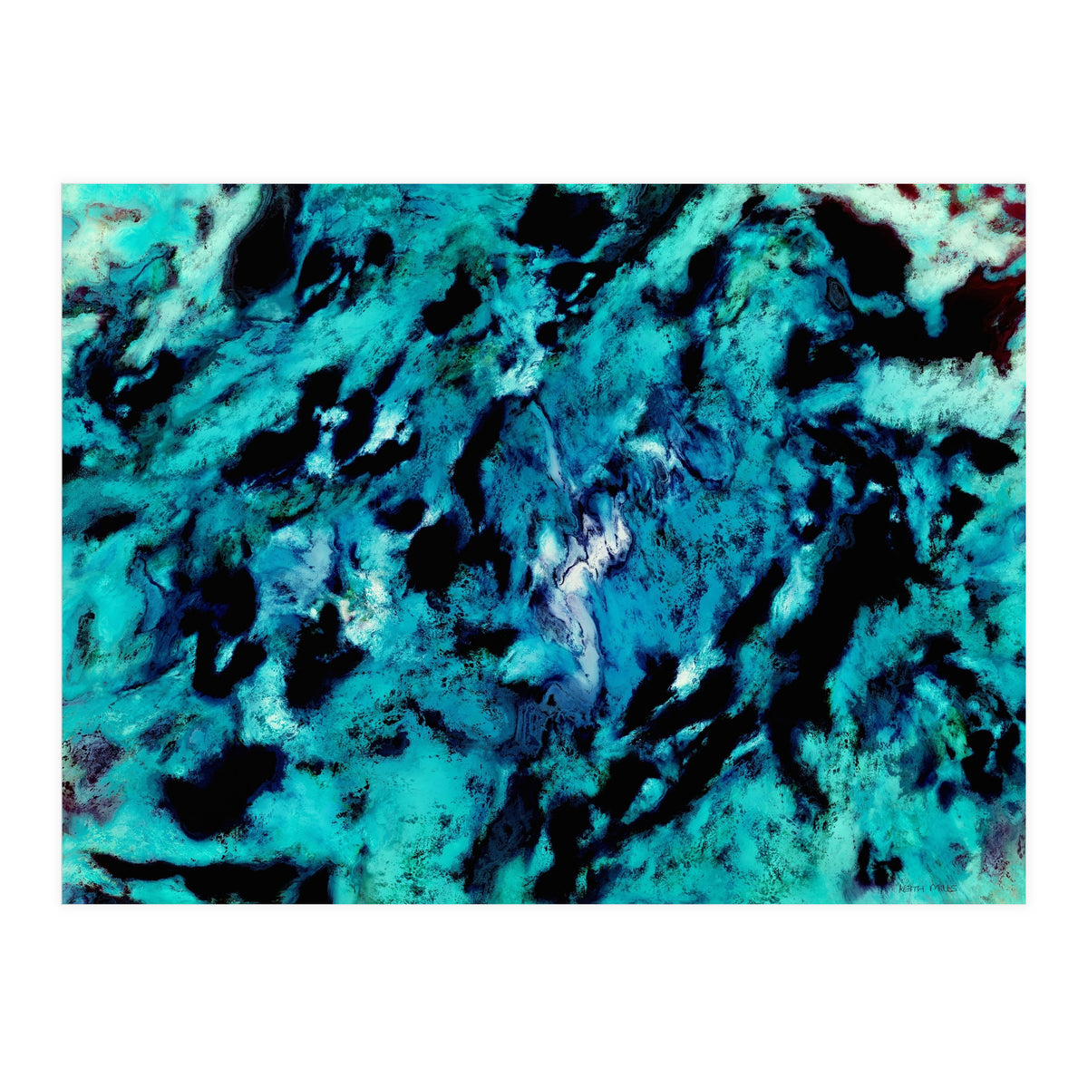 Distinguishing Marks (Print Only)