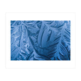 Ice Pattern Number 1 (Print Only) thumbnail