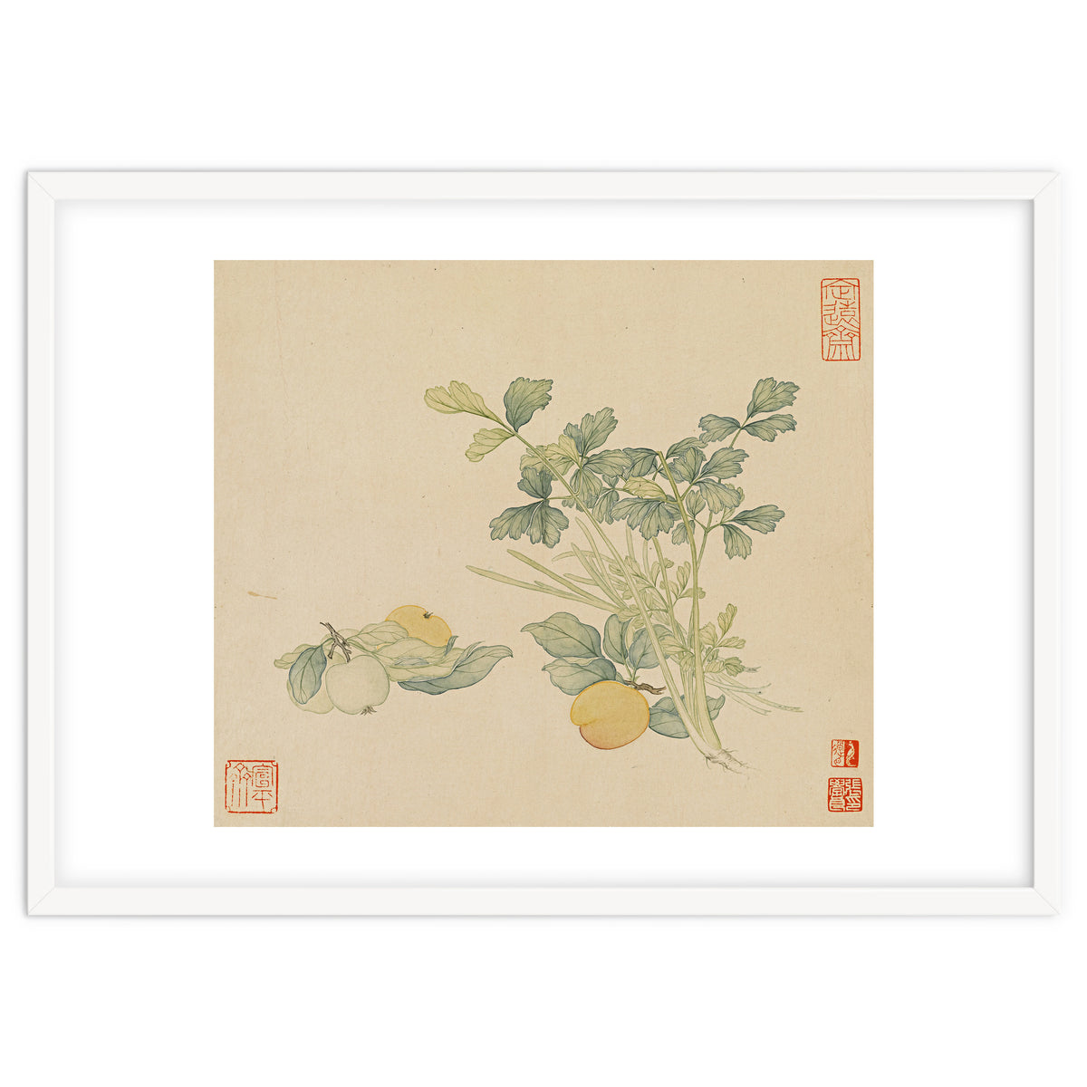 Wang Chengyu~flowers And Vegetables, Vegetables, Fruits, Plums, Apricots, Celery
