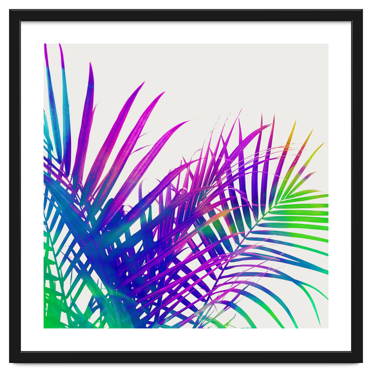 Colorful Palm