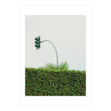 Urban Plant (Print Only) thumbnail