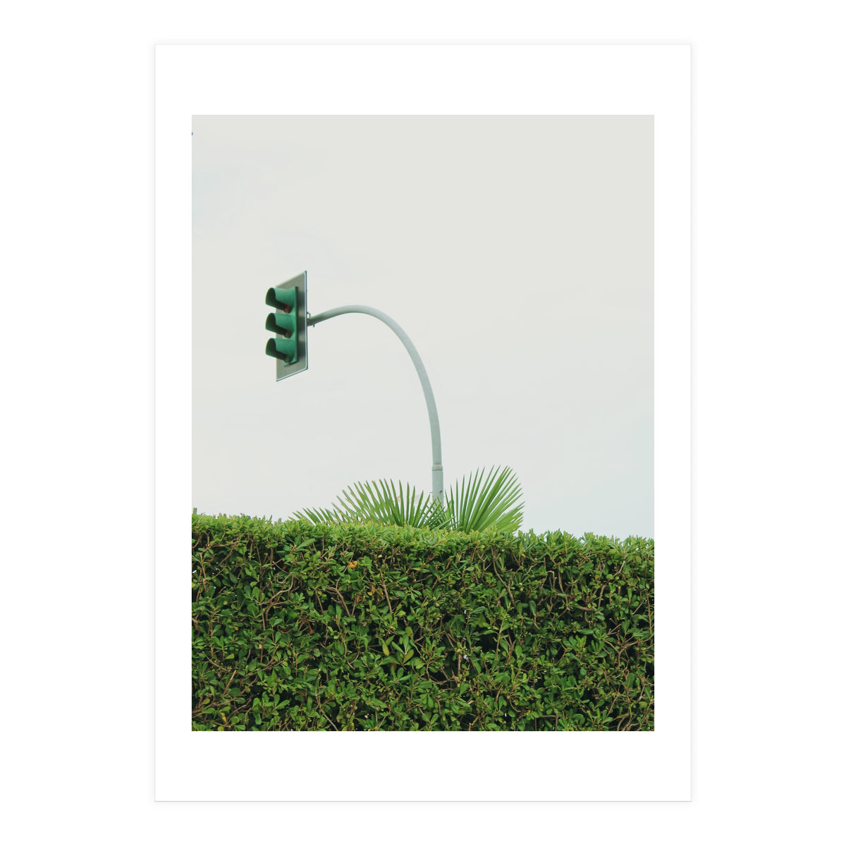 Urban Plant (Print Only)
