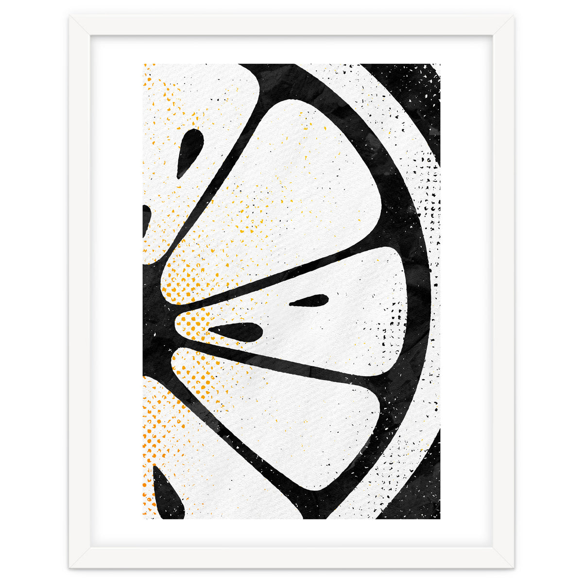 Citrus Collection No4