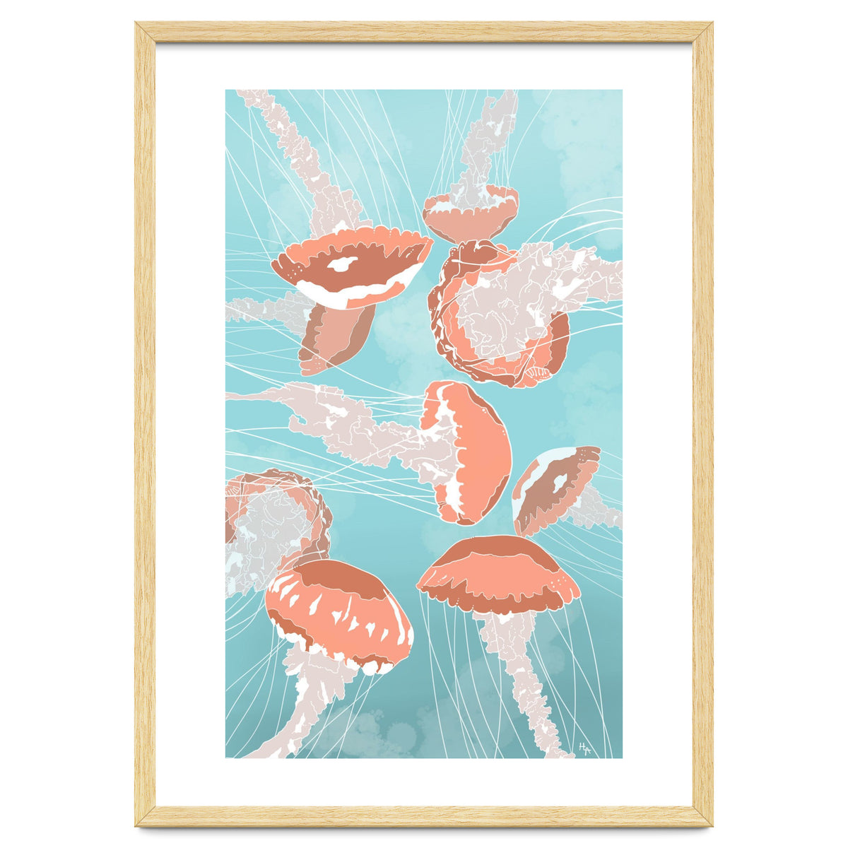 Jellyfish