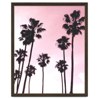 Palms & Sunset