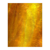 Sunset In Colors 2 (Print Only) thumbnail