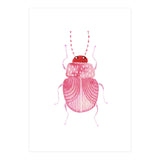 Sarcastic Beetle (Print Only) thumbnail