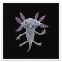 Axolotl