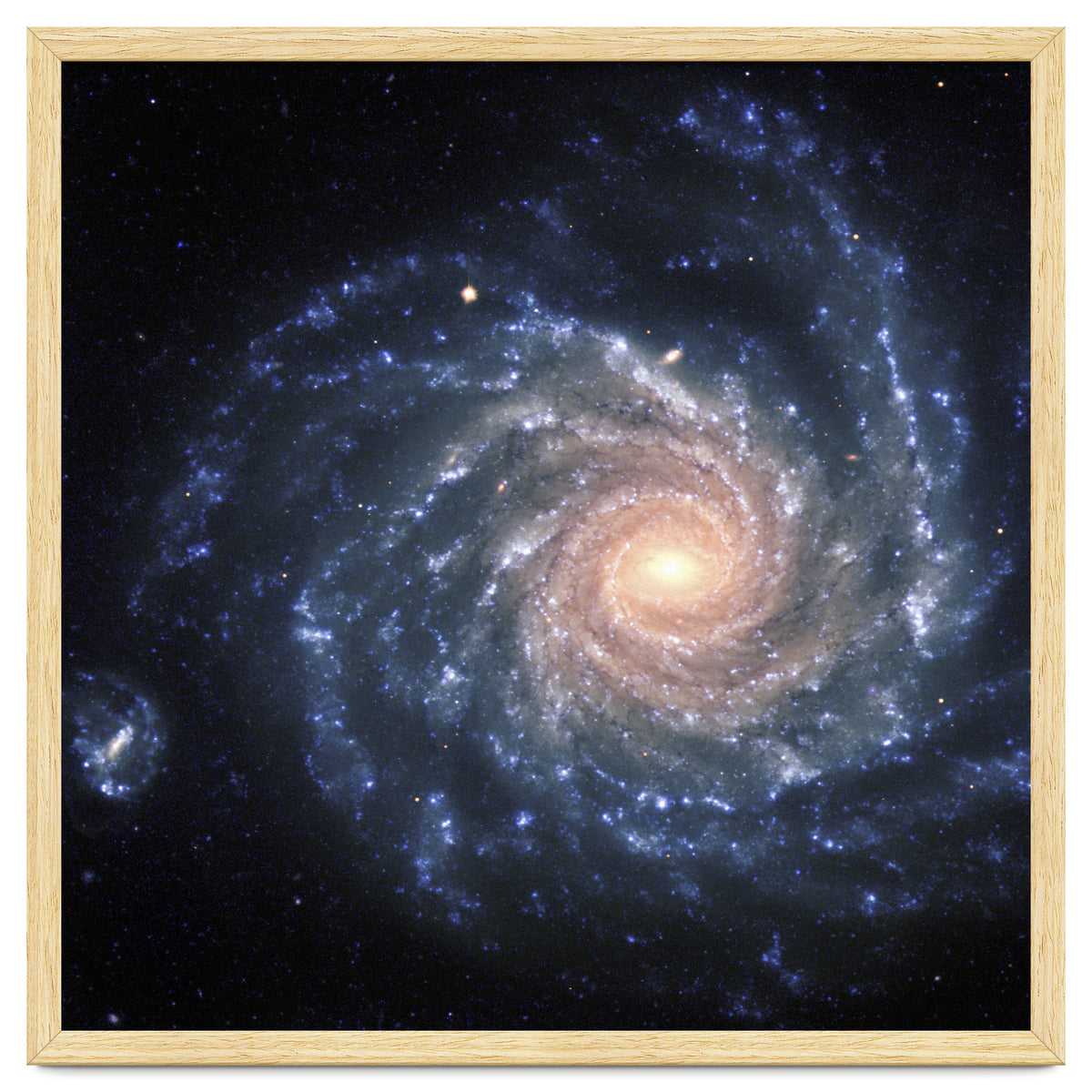 Spiral Galaxy NGC 1232