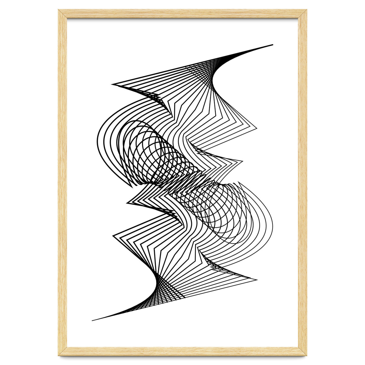 Organized Chaos_White