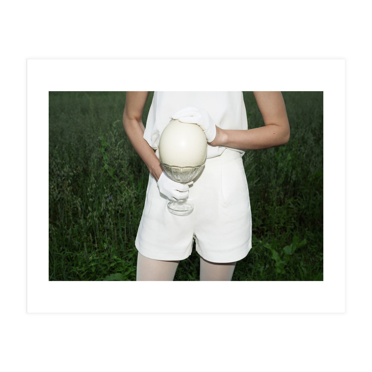 Dinosaur Inside (Print Only)