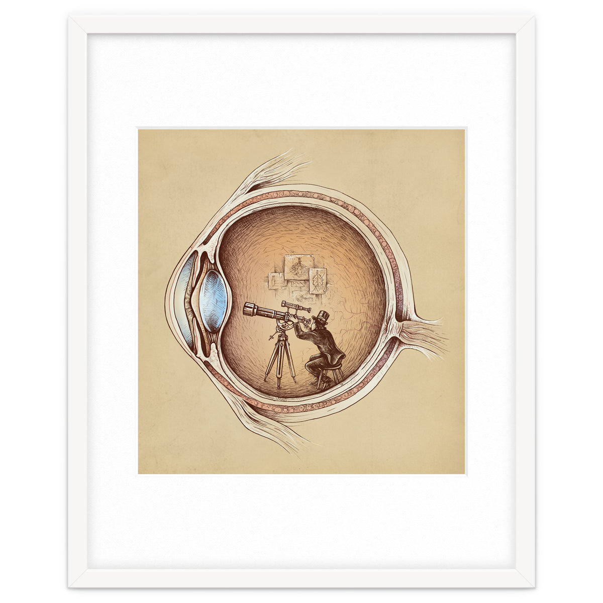 Extraordinary Observer