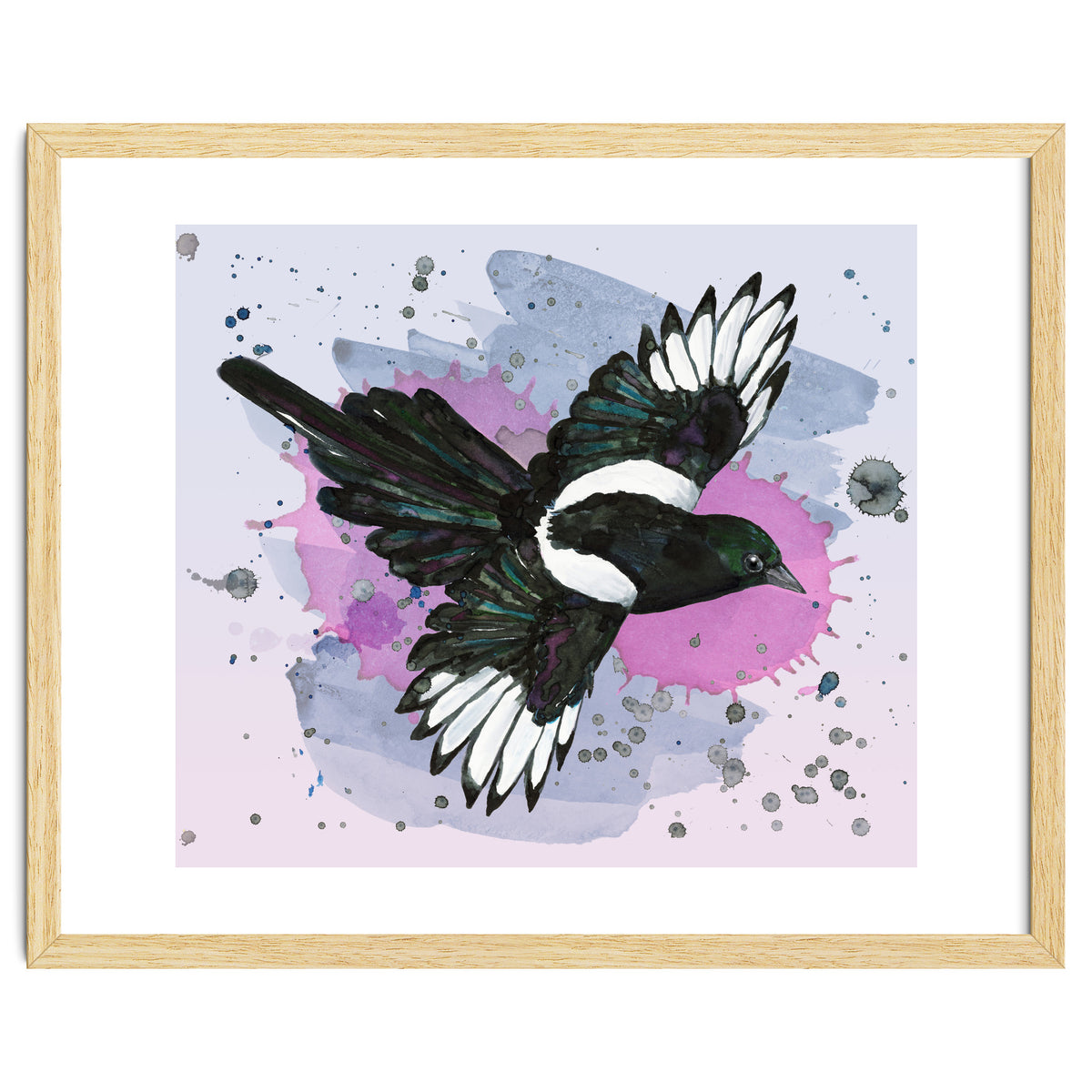 A watercolor drawing of a flying magpie