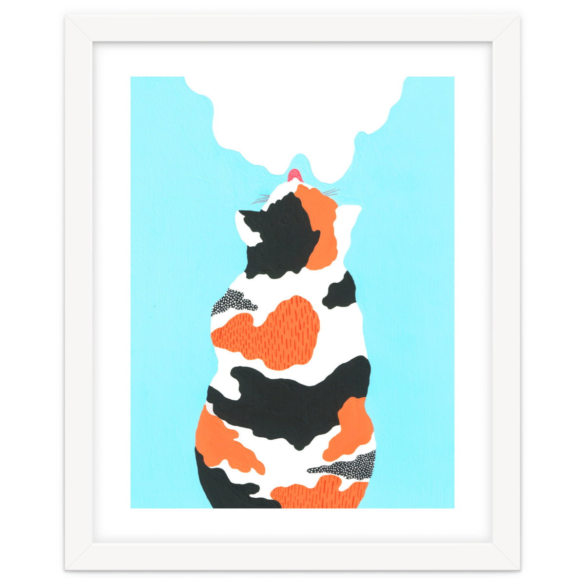 Tri Colored Calico Cat