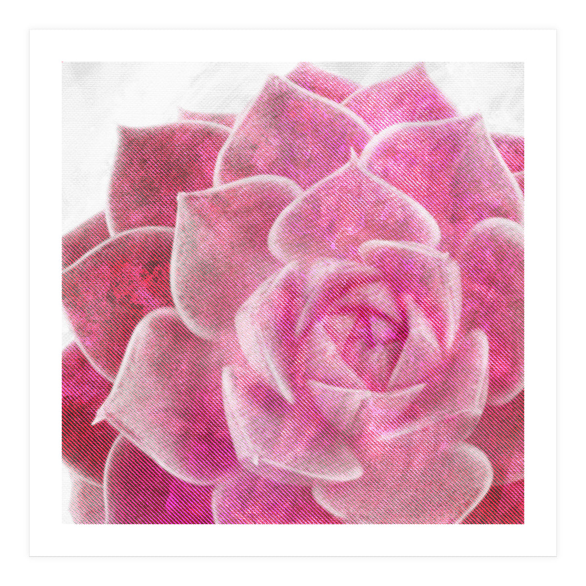 Rough Beauty 4 (Print Only)