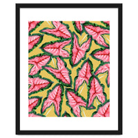 Caladium, Botanical Tropical Nature Plants, Vintage Bohemian Exotic Blush Leaves