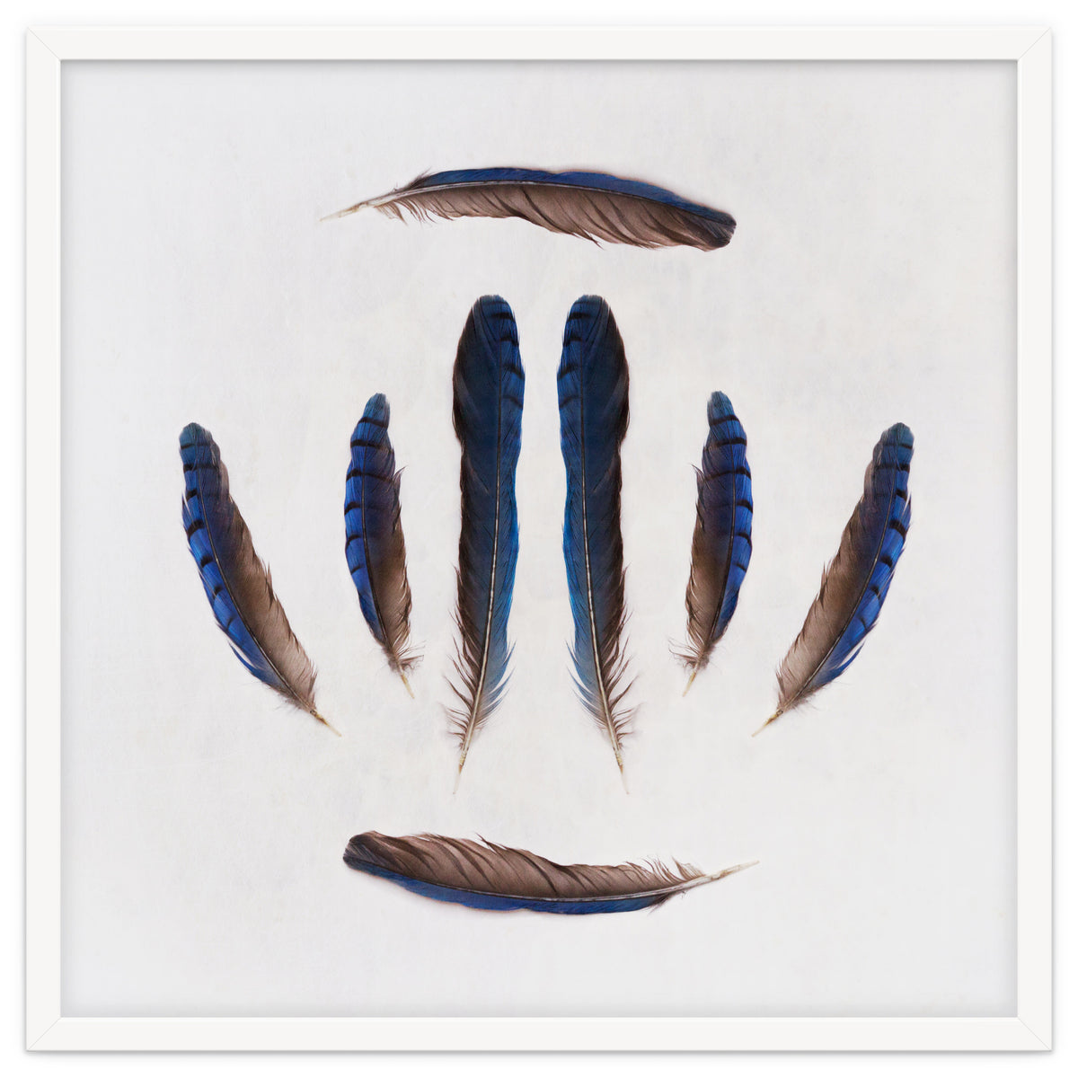 Forgive Me For Forgetting