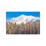 Cloudy Crown (Print Only) thumbnail