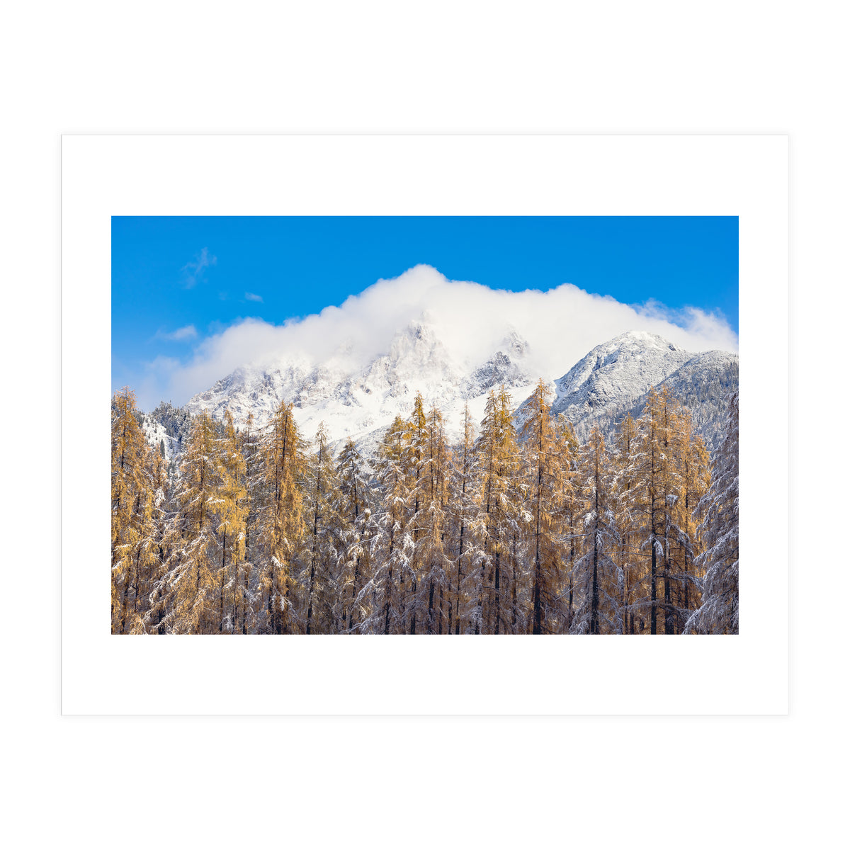 Cloudy Crown (Print Only)