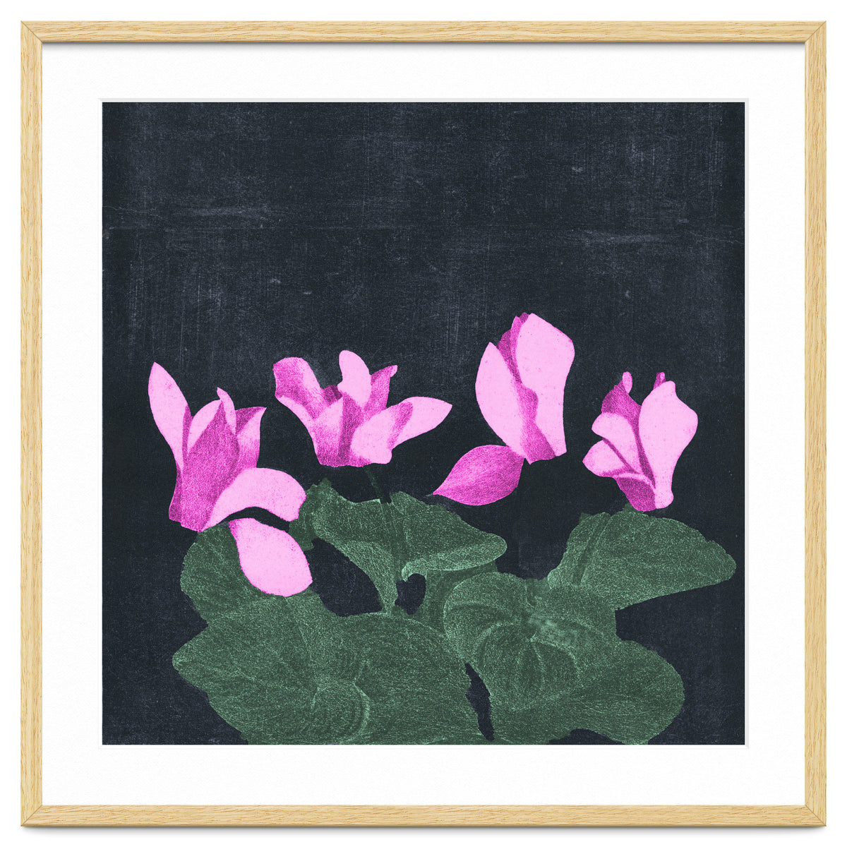 Cyclamen