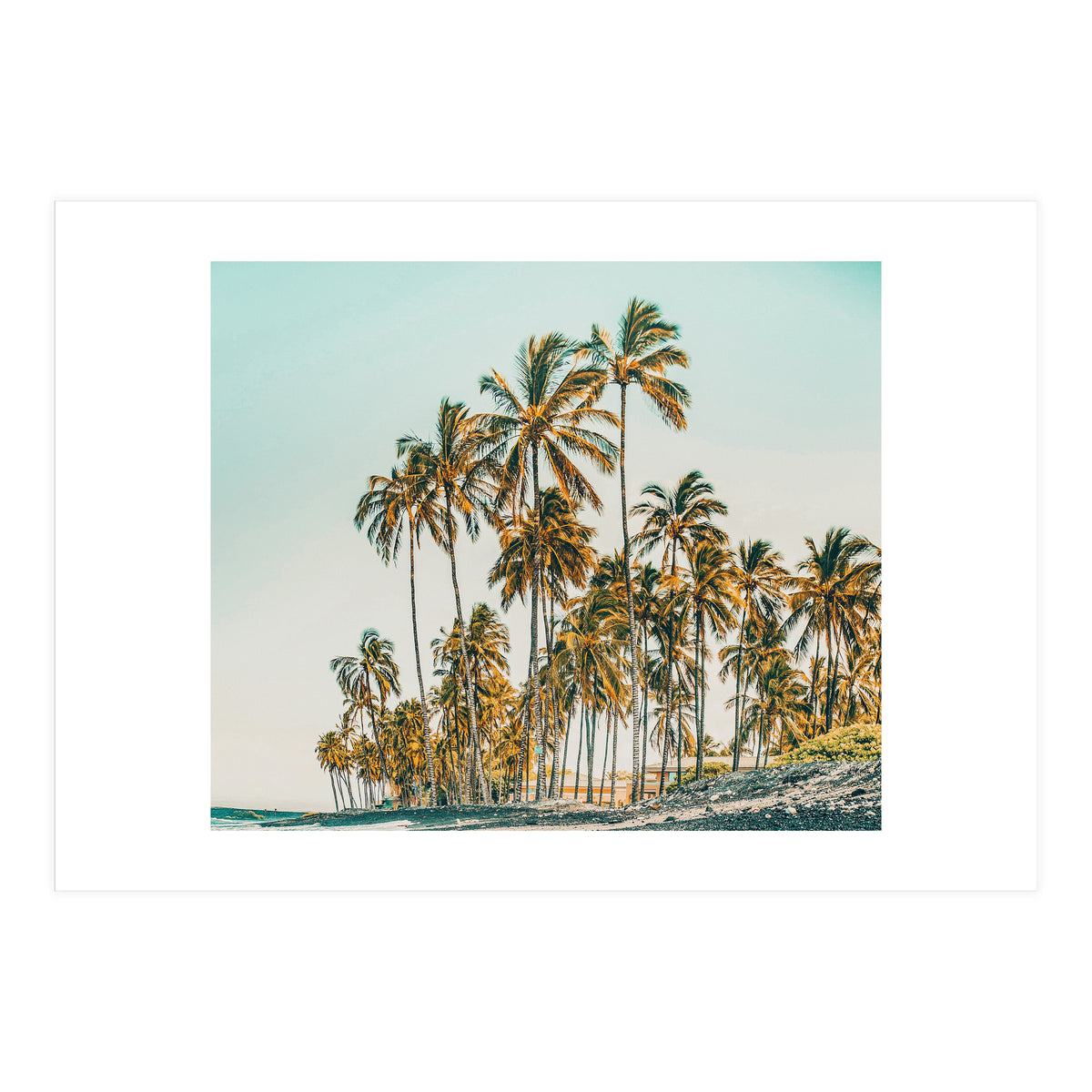 Island Life III (Print Only)