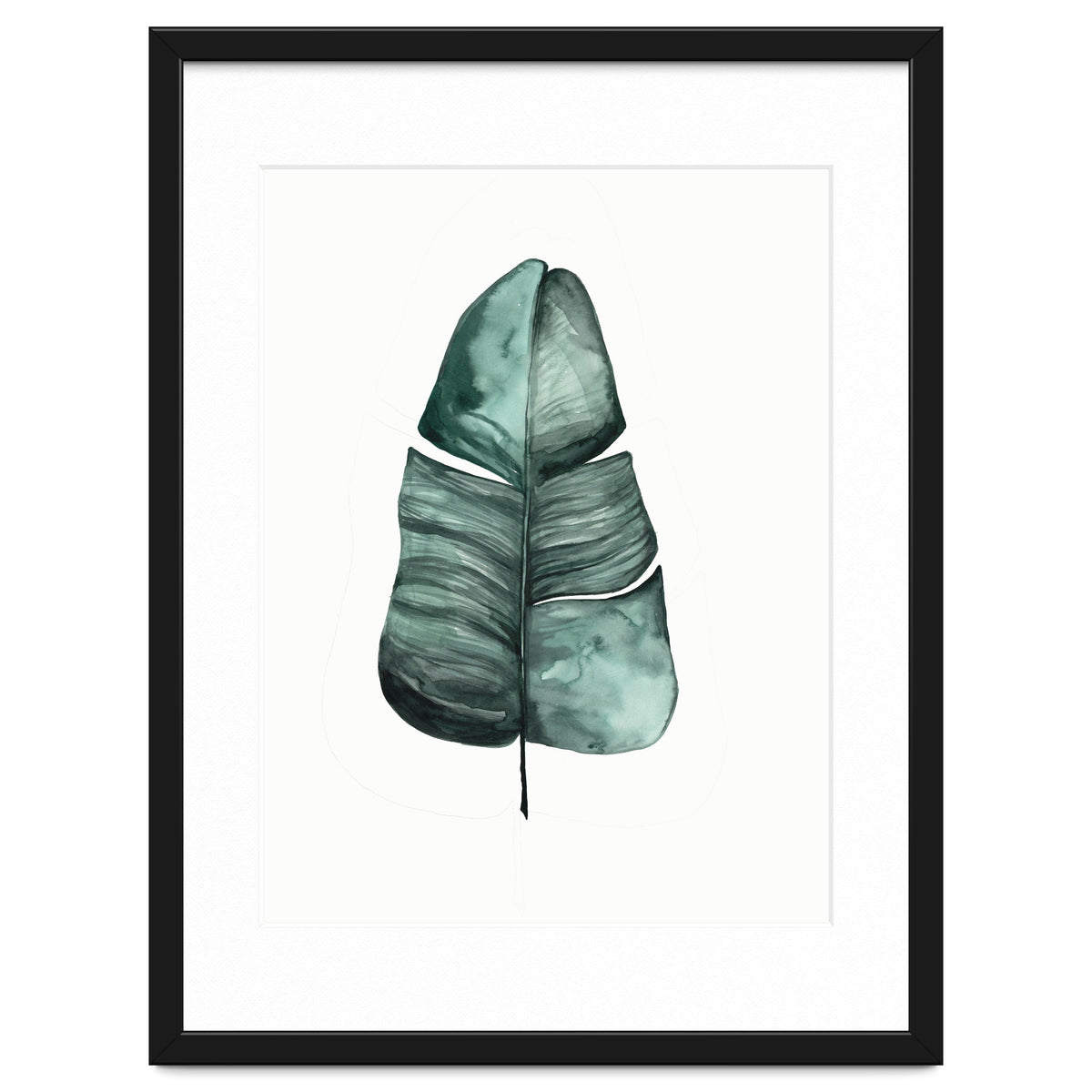 Botanical Illustration Banana Leaf