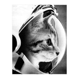 Astrocat (Print Only) thumbnail