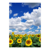Nature (Print Only) thumbnail