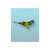 Flying lovebird (Print Only) thumbnail