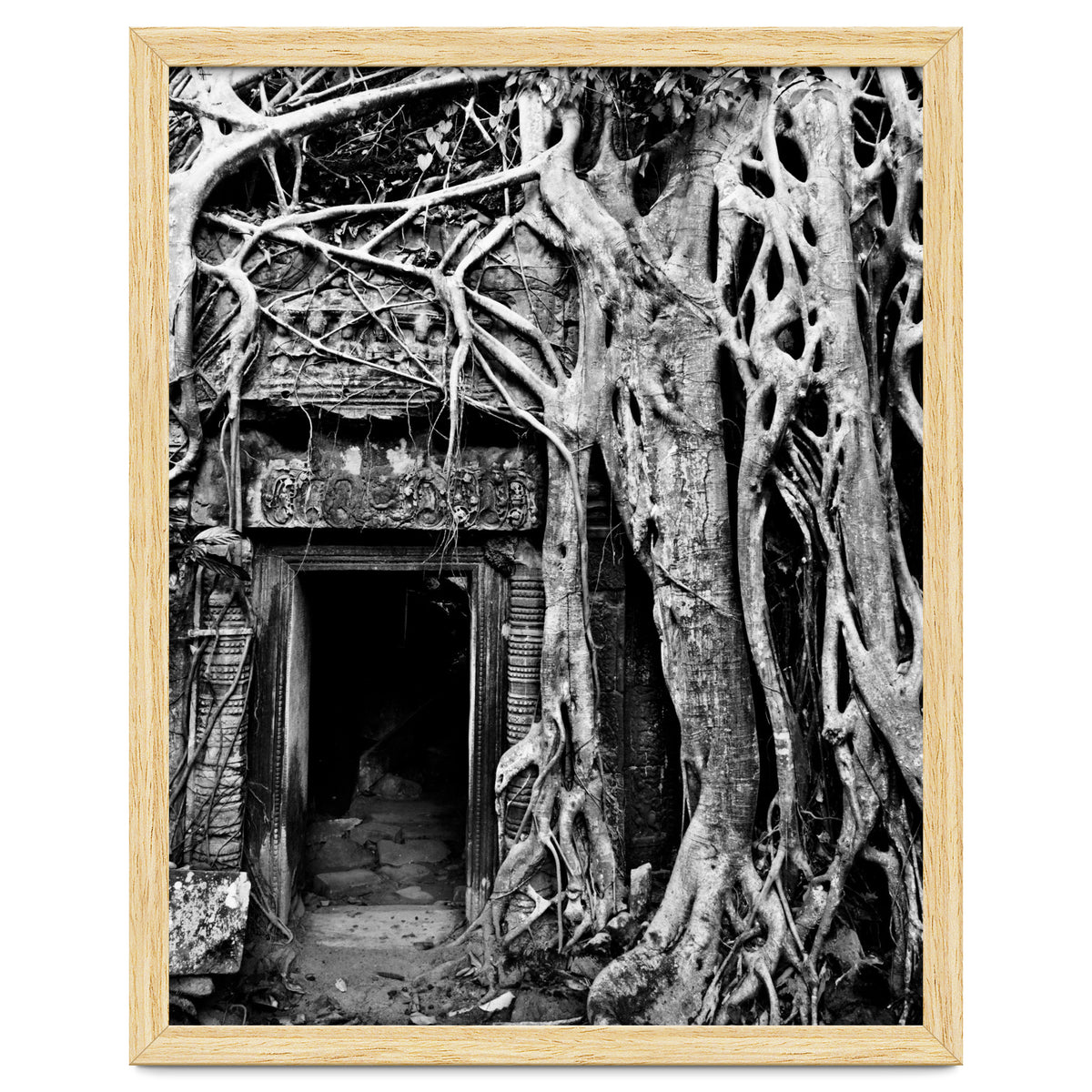 Ta Prohm Temple, Cambodia