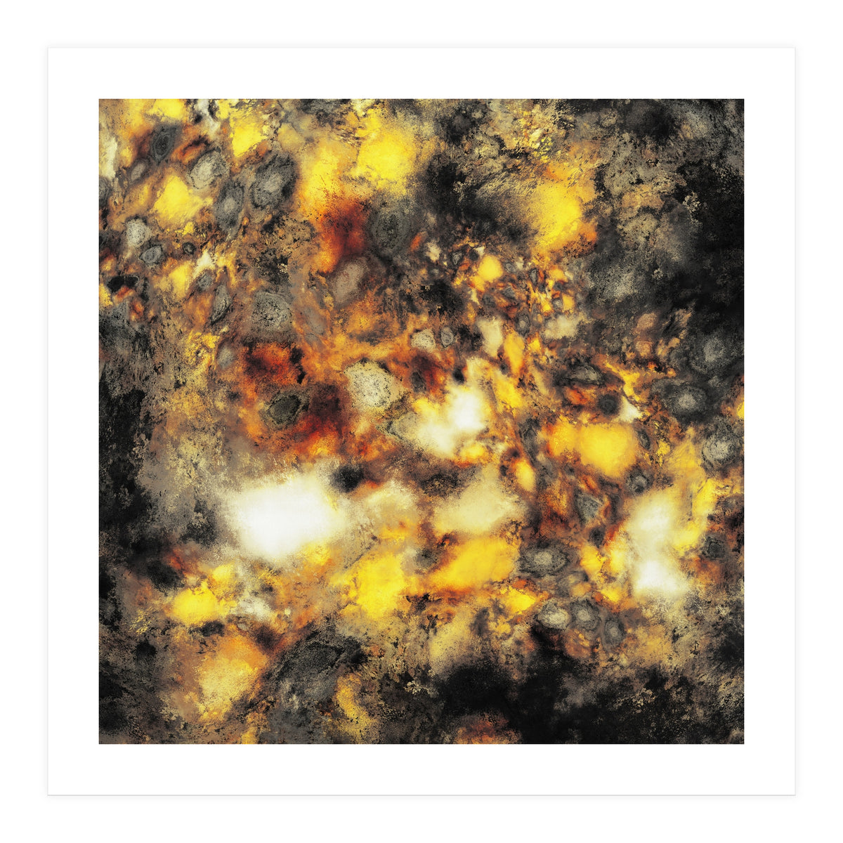 Embers (Print Only)