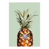 Pineapple Owl (Print Only) thumbnail