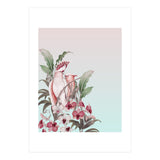 Pastel Cockatoos Paradise (Print Only) thumbnail