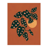 Monstera Adansonii (Print Only) thumbnail