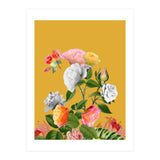 Floral Pop (Print Only) thumbnail