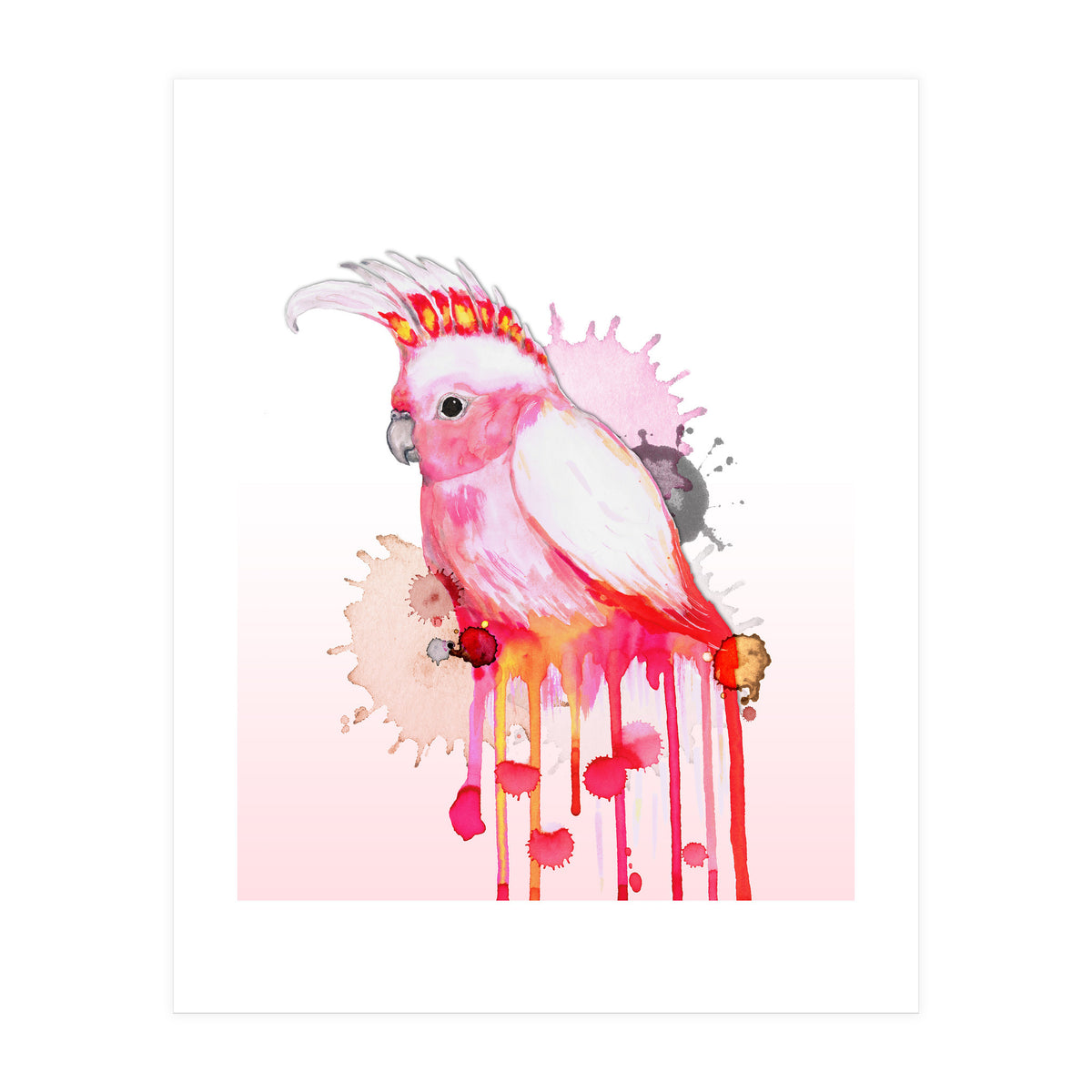 Major Mitchell's cockatoo (Print Only)