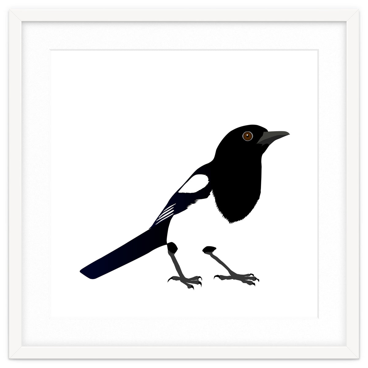 Magpie