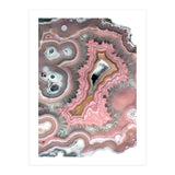 25 (Print Only) thumbnail