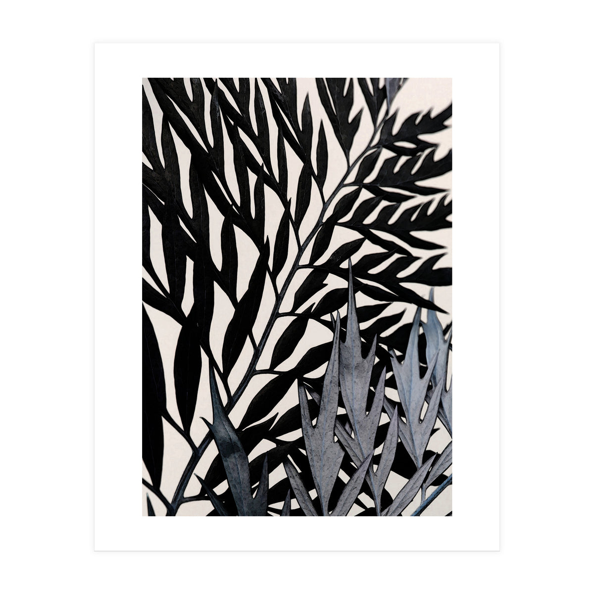 14 (Print Only)