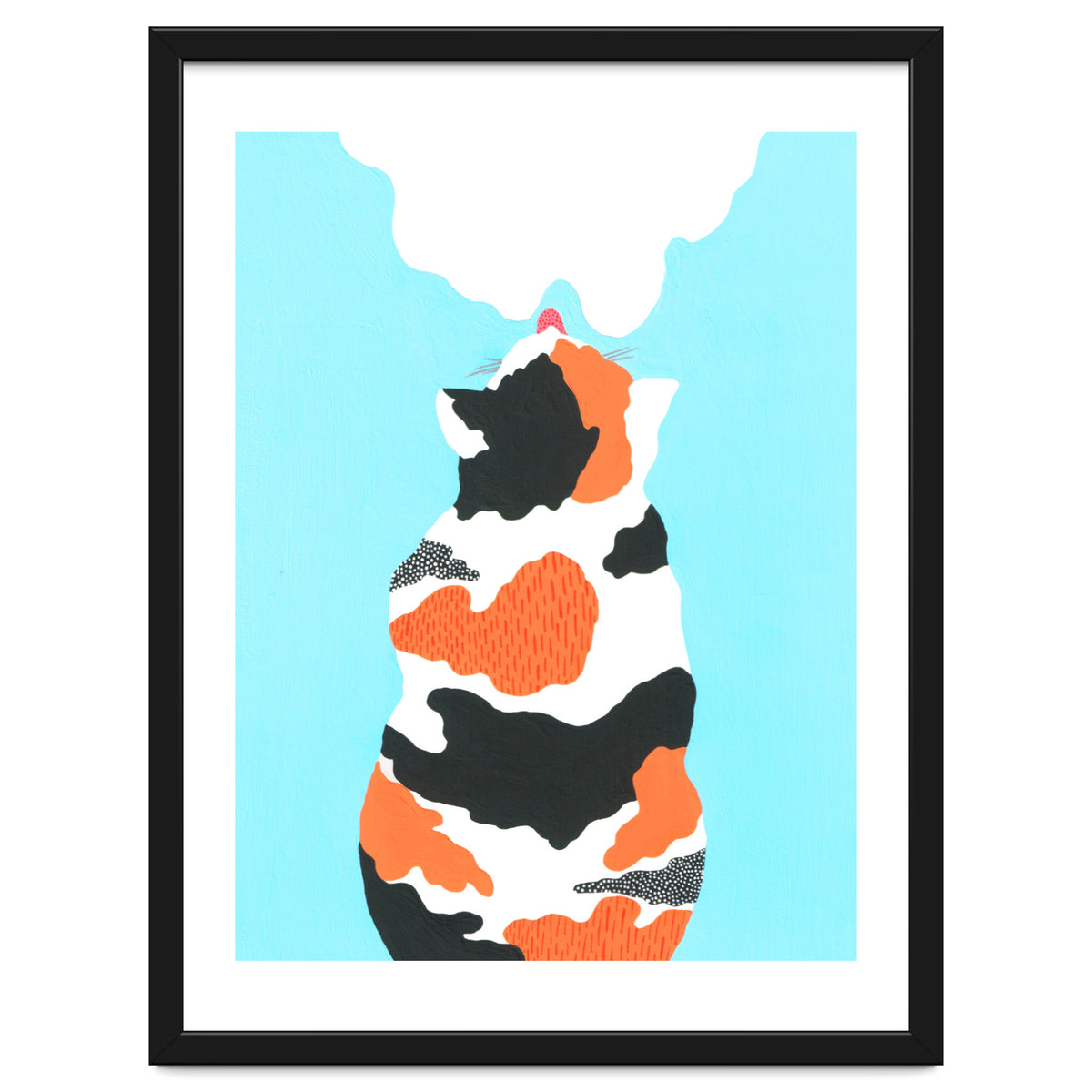 Tri Colored Calico Cat