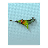 Flying lovebird (Print Only) thumbnail