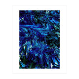 Blue  (Print Only) thumbnail