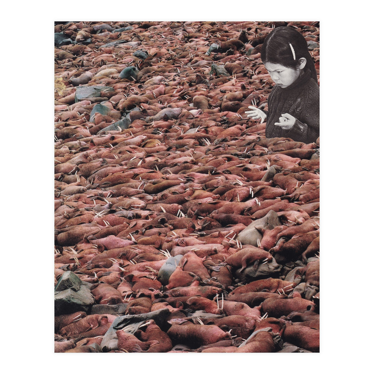 Counting Walrus (Print Only)