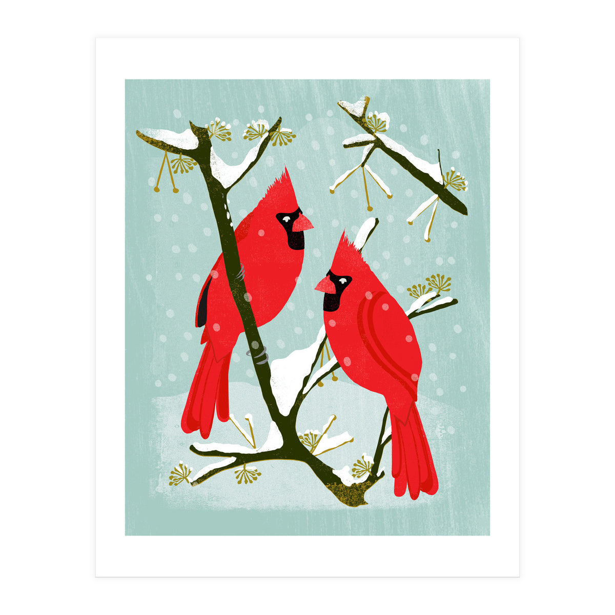 Cardinal (Print Only)