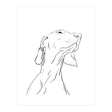 Smell  (Print Only) thumbnail