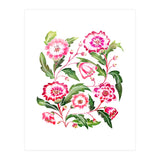 Flori (Print Only) thumbnail
