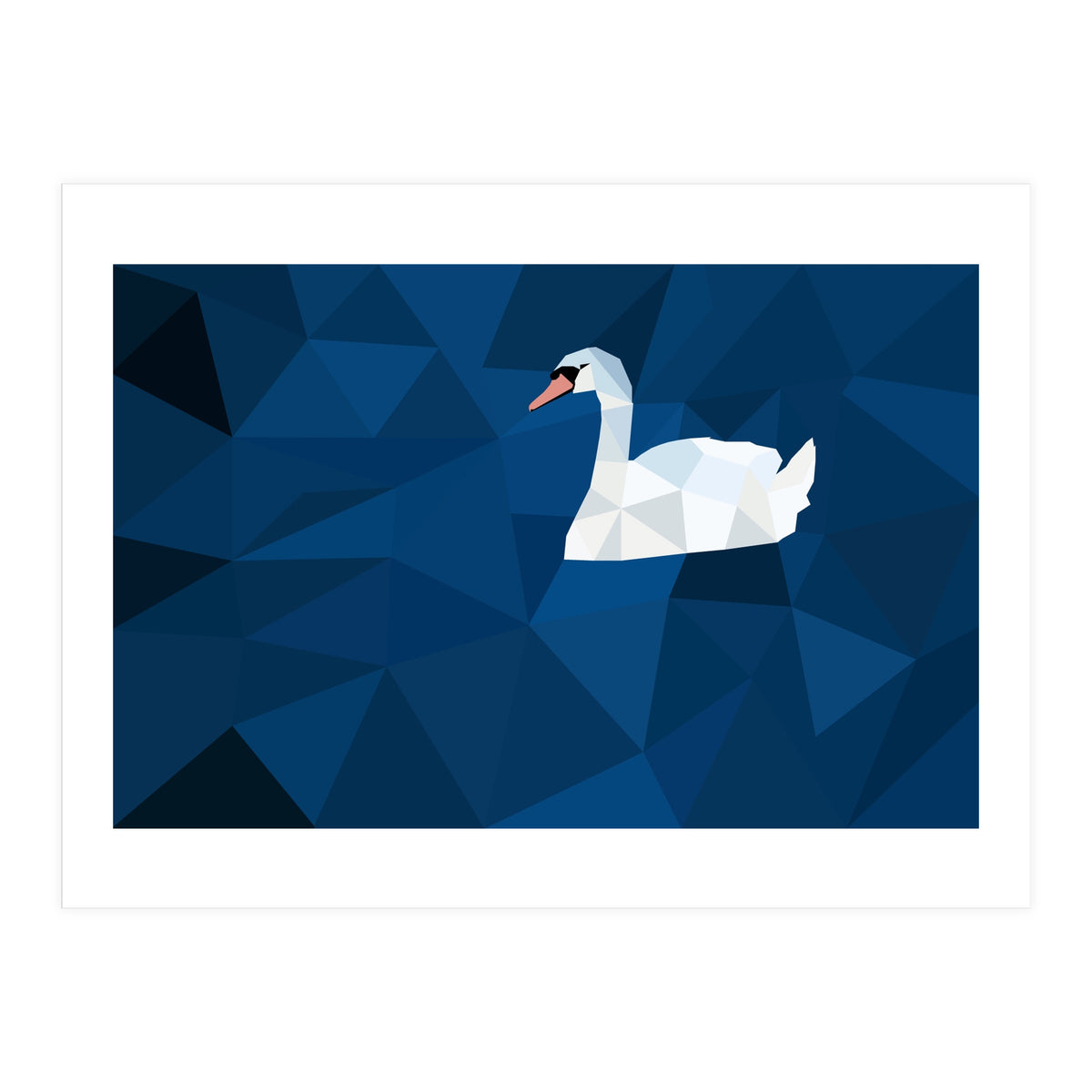 Swan In Water Artwork (Print Only)